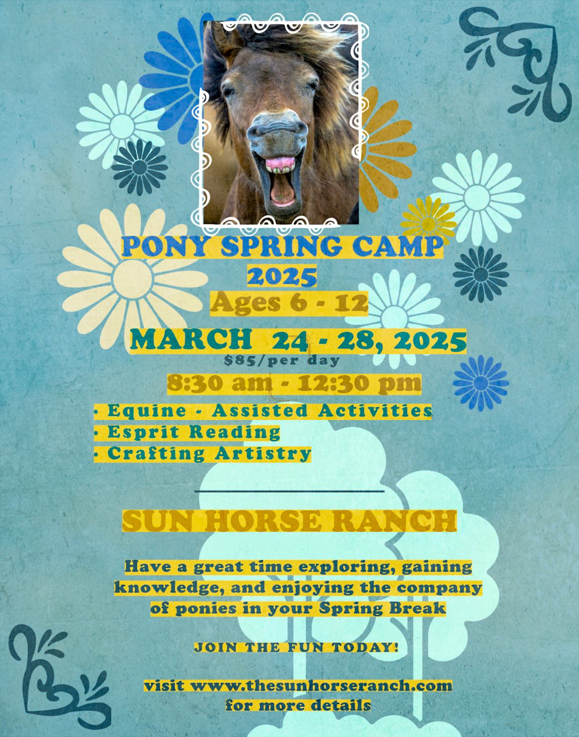 spring pony camp 2025